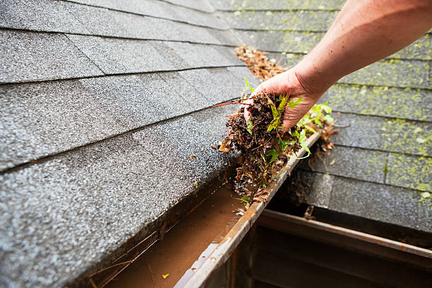 Gutters and Demossing Victoria | 402 Dallas Rd, Victoria, BC V8V 2C5, Canada | Phone: (250) 885-8052