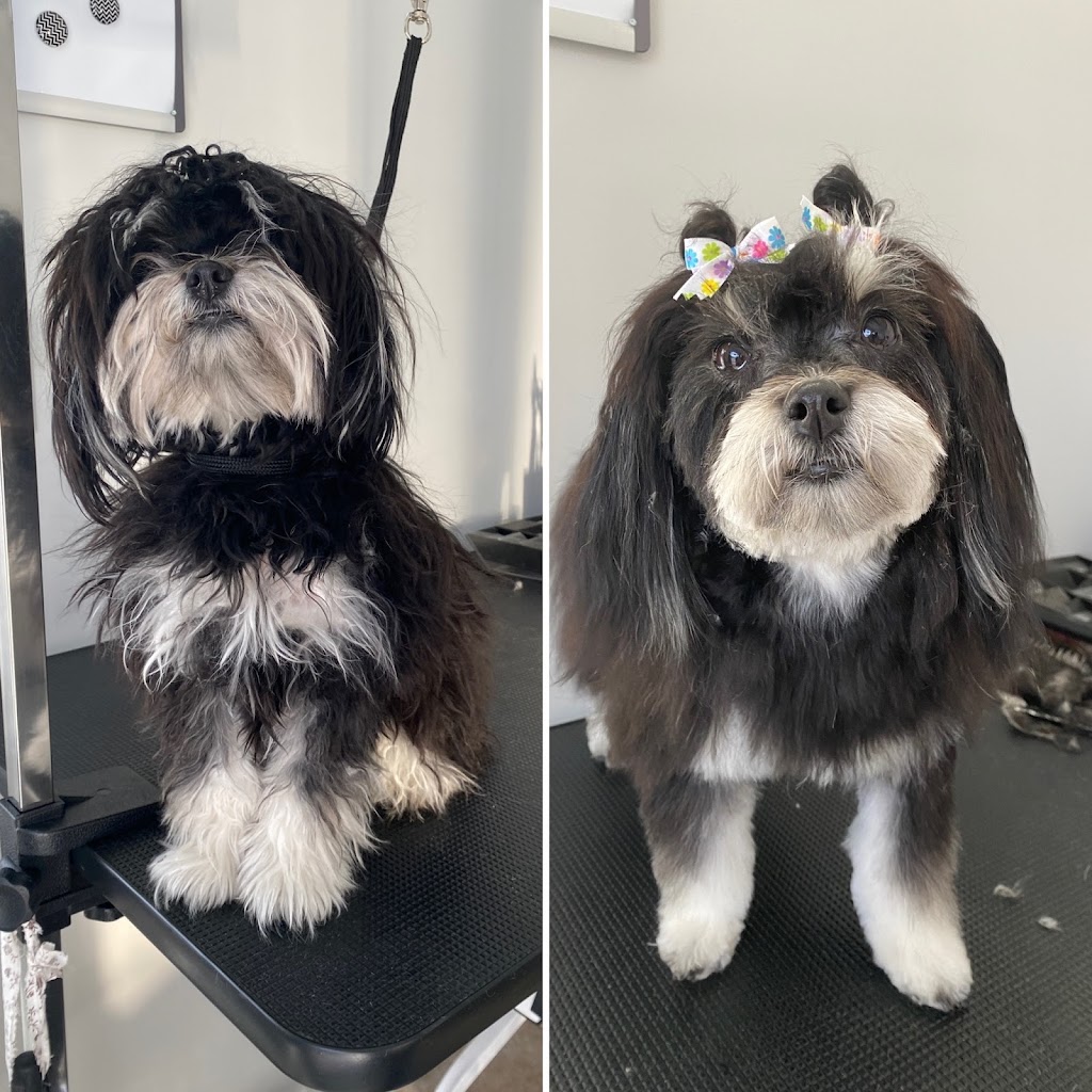 Muttropolis Dog Grooming | 4813 114 Ave NW, Edmonton, AB T5W 0T7, Canada | Phone: (825) 439-6675