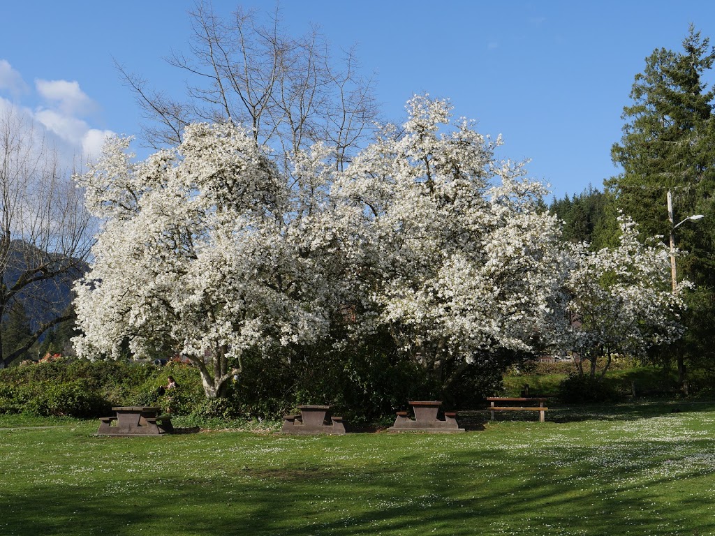 Belcarra Picnic Area | 4500 Tum Tumay Whueton Dr, Belcarra, BC V3H 4P6, Canada | Phone: (604) 520-6442