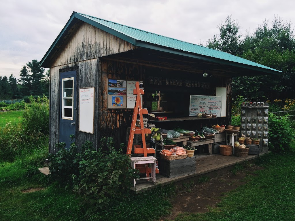 Runaway Creek Farm | 5 Chemin Thomson E, Arundel, QC J0T 1A0, Canada | Phone: (819) 687-3884