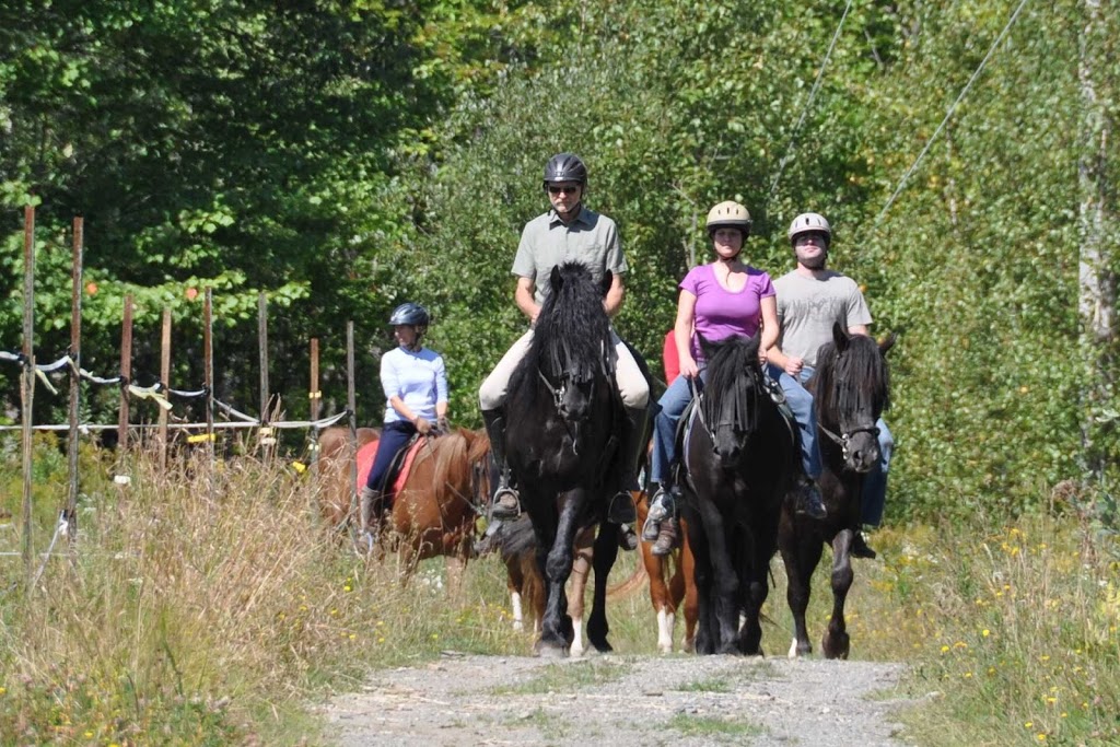 Center Riding Jacques Robidas | 32 Chemin McFarland, Hatley, QC J0B 2C0, Canada | Phone: (819) 563-0166