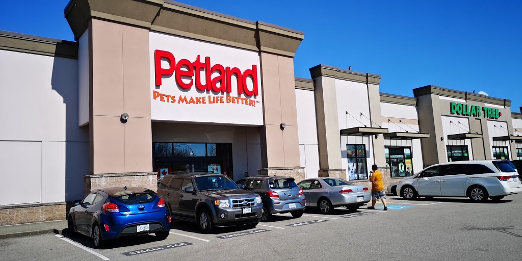 Petland Port Coquitlam | 1097 Nicola Ave, Port Coquitlam, BC V3B 8B2, Canada | Phone: (604) 464-9770