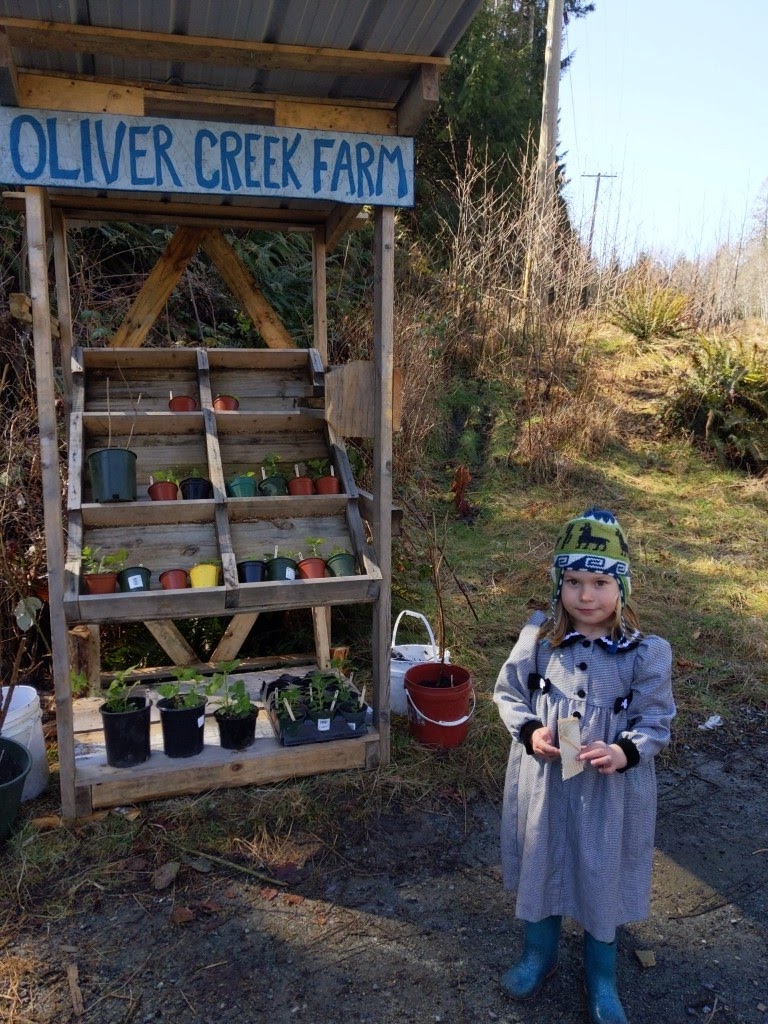 Oliver Creek Farm | 8260 Youbou Rd, Lake Cowichan, BC V0R 2G0, Canada | Phone: (250) 718-8485