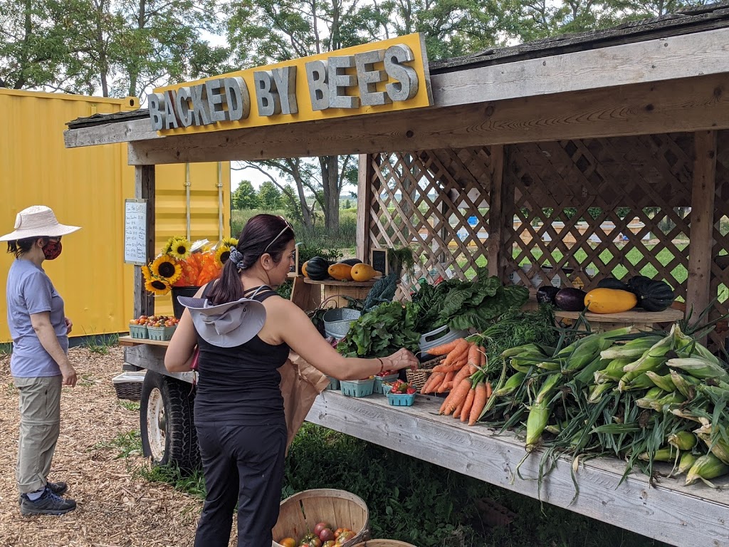 Backed By Bees | 6214 Appleby Line, Burlington, ON L7M 0P7, Canada | Phone: (905) 320-6214