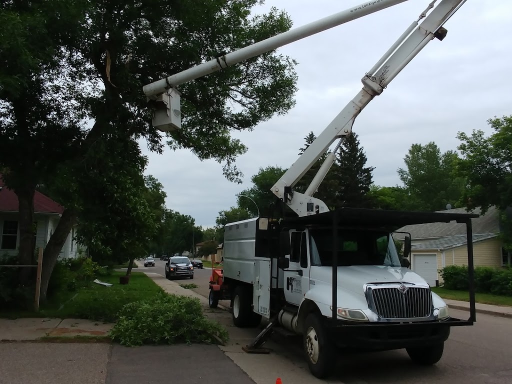 Second Nature Tree Care | 929 16 St S, Lethbridge, AB T1J 3C1, Canada | Phone: (403) 915-3986