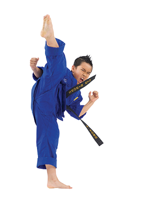 Karate Sports Repentigny | 1227 Rue Notre-Dame, Repentigny, QC J5Y 3H2, Canada | Phone: (514) 629-3474