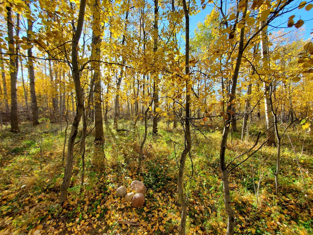 Andresen Apiaries Inc. | 110 51112, Range Rd 222, Sherwood Park, AB T8C 1G9, Canada | Phone: (780) 995-5394