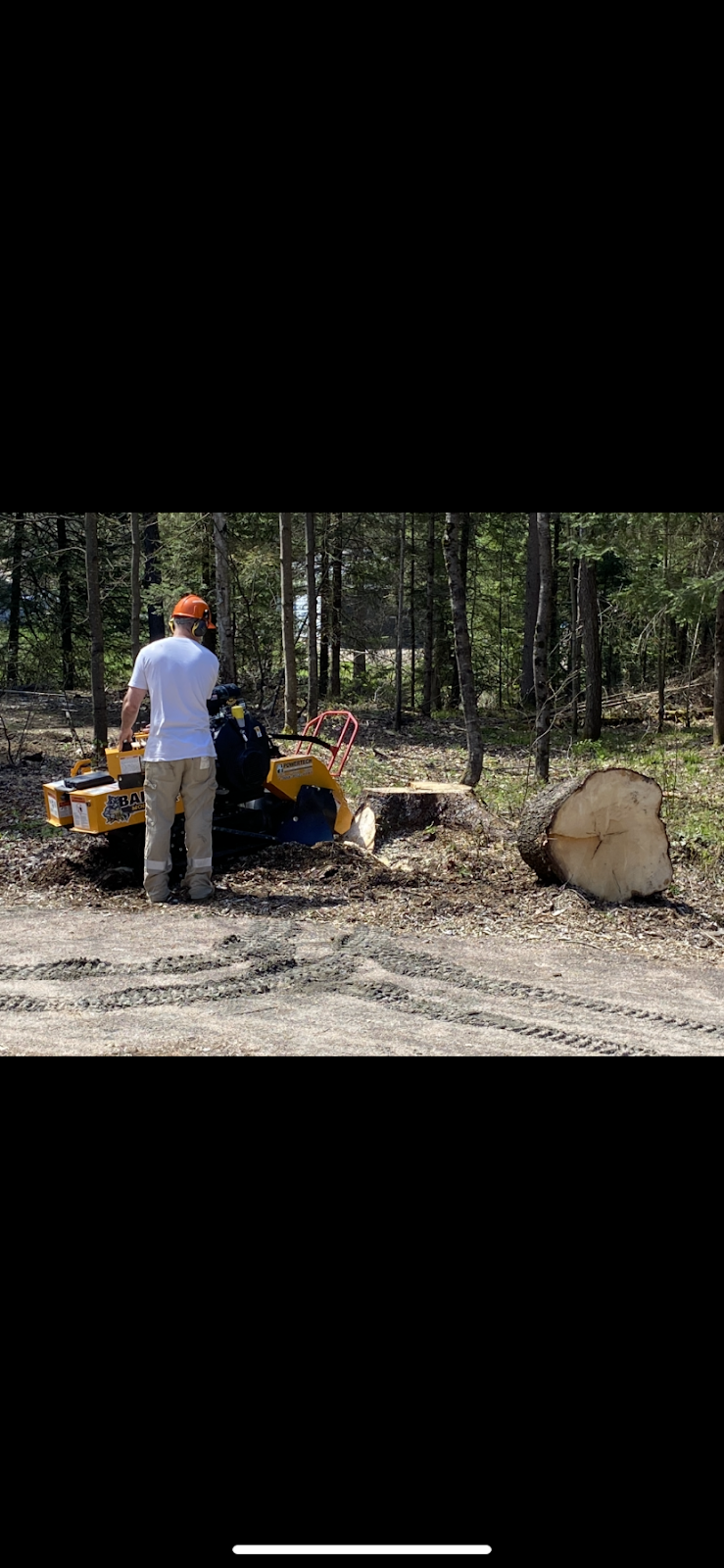 Stumpin’ Tom’s Stump Grinding | 1012 Wonderland Rd, Haliburton, ON K0M 1S0, Canada | Phone: (705) 455-2838