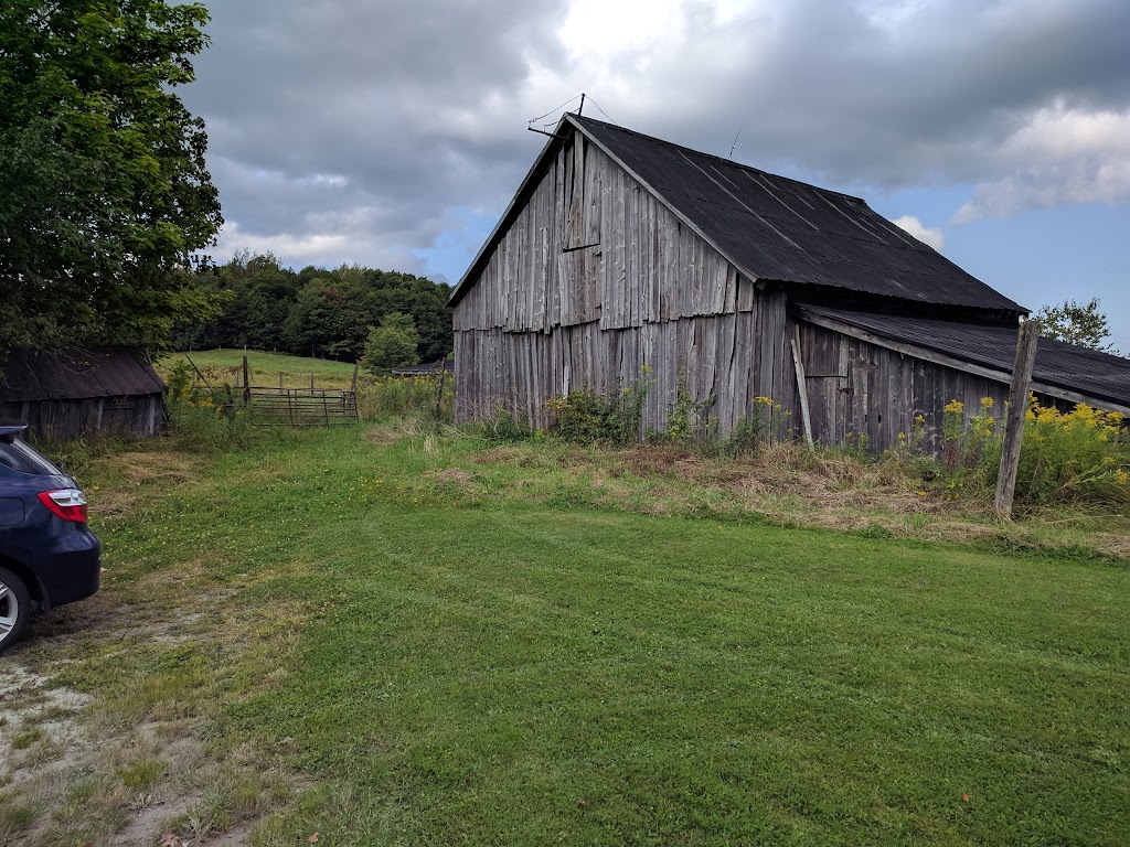 Fitch Bay Bison | 1260 Chem. Gendron, Memphrémagog, QC J1X 3W4, Canada | Phone: (819) 843-0527