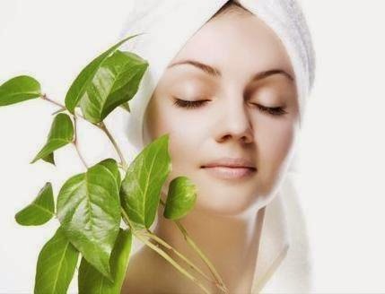 Buy Green Skin Care | 1651 Woodbine Heights Blvd, East York, ON M4B 3A7, Canada | Phone: (416) 757-3905 ext. 1