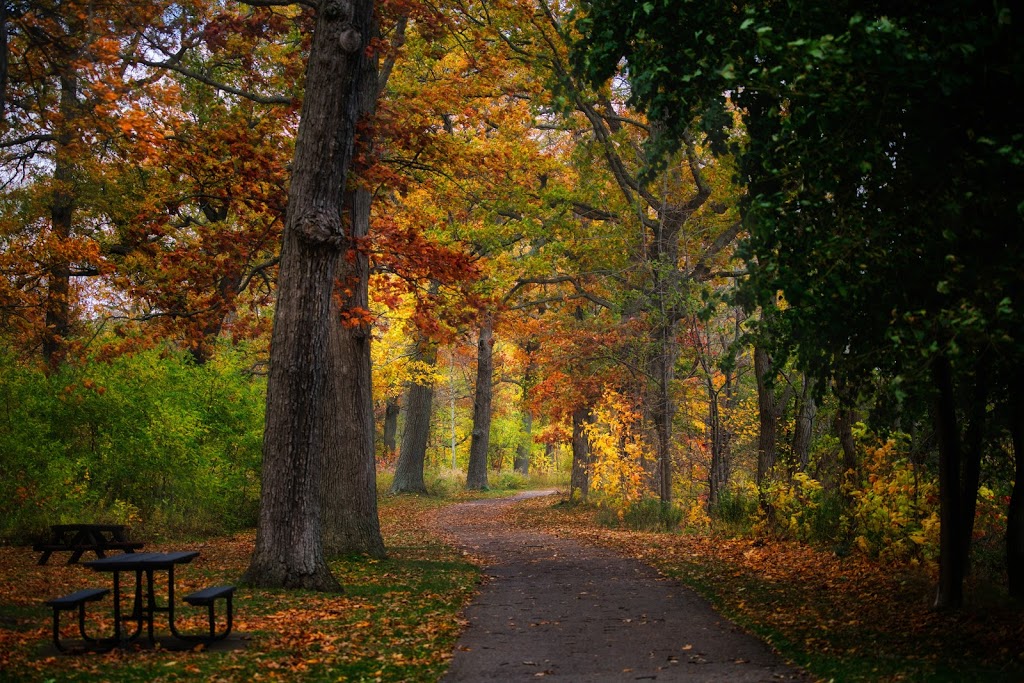 McFarland Park Picnic Pavilion | 15927 Niagara Pkwy, Niagara-on-the-Lake, ON L2E 6T2, Canada | Phone: (905) 468-3322