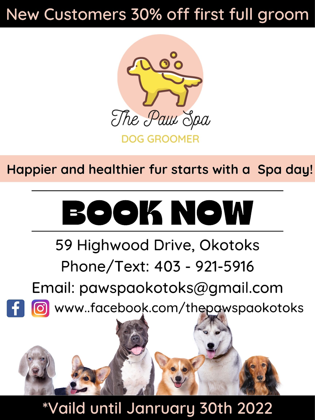 The Paw Spa | 59 Highwood Dr., Okotoks, AB T1S 5E4, Canada | Phone: (403) 921-5916