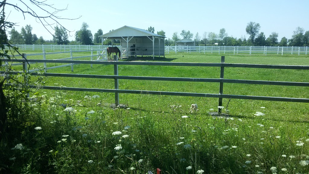 Parc des Grands Étangs | Morilles Street, Saint-Jean-Baptiste, QC J0L 2B0, Canada