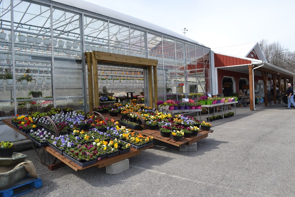 Badding Bros Farm Market and Garden Center | 10820 Transit Rd, East Amherst, NY 14051, USA | Phone: (716) 636-7824