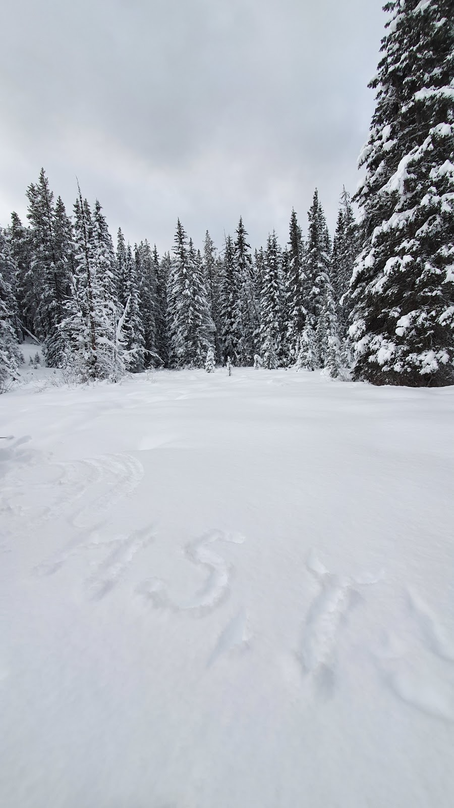 The Lake Louise Ski Resort Daycare | 1 Whitehorn Rd, Lake Louise, AB T0L 1E0, Canada | Phone: (403) 522-3555