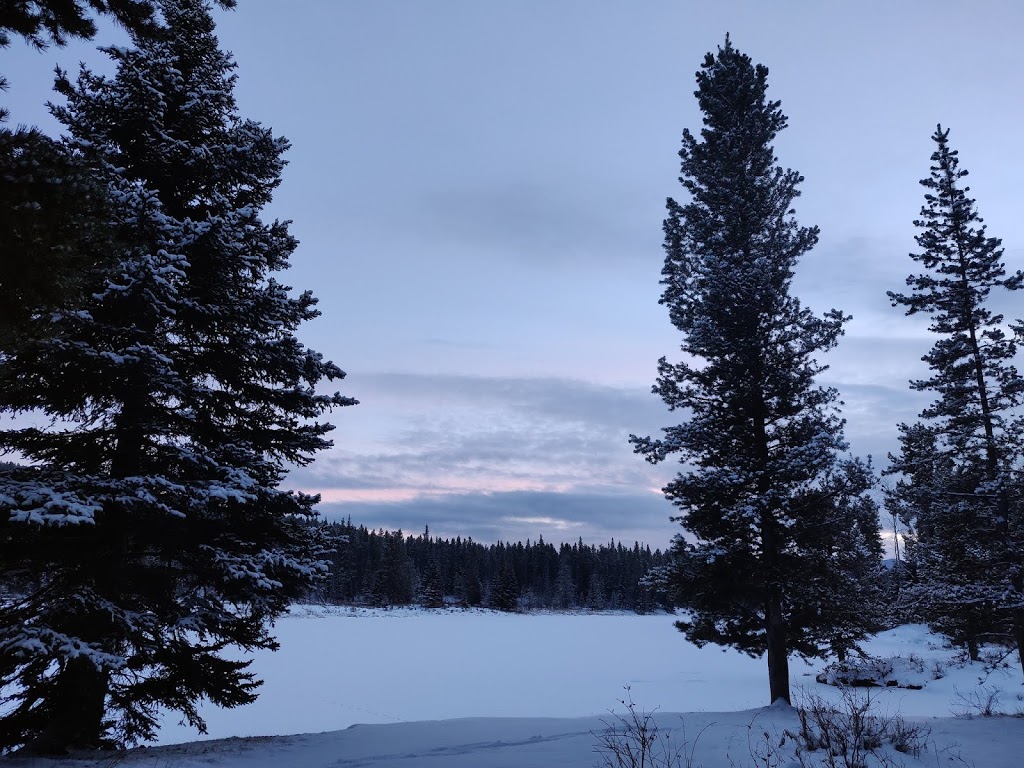 McLean Pond Day Use Area | 285 McLean Creek Trail, Bragg Creek, AB T0L 0K0, Canada