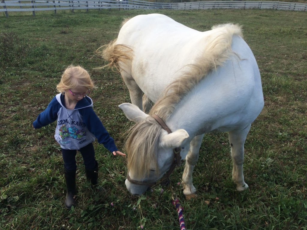 The Equine Connection Therapeutic Riding & Learning Centre | Private farm, Caledon Village, ON L7K 2B2, Canada | Phone: (647) 237-3485