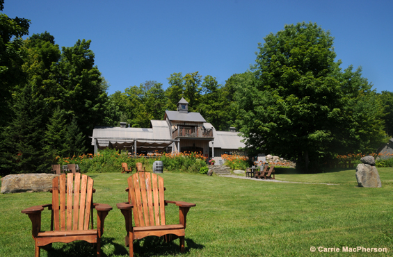 Domaine Les Brome / Léon Courville, winemaker | 285 Chemin Brome, Fulford, QC J0E 1S0, Canada | Phone: (450) 243-0266