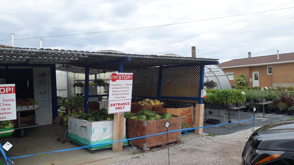 Carls Plants & Produce | 373 Seacliff Dr W, Leamington, ON N8H 4C9, Canada | Phone: (519) 326-2817