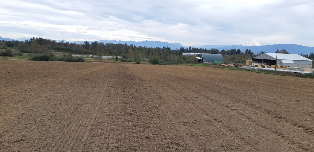 Majestic View Farm | 1212 Lefeuvre Rd, Abbotsford, BC V4X 1H7, Canada | Phone: (604) 833-3881