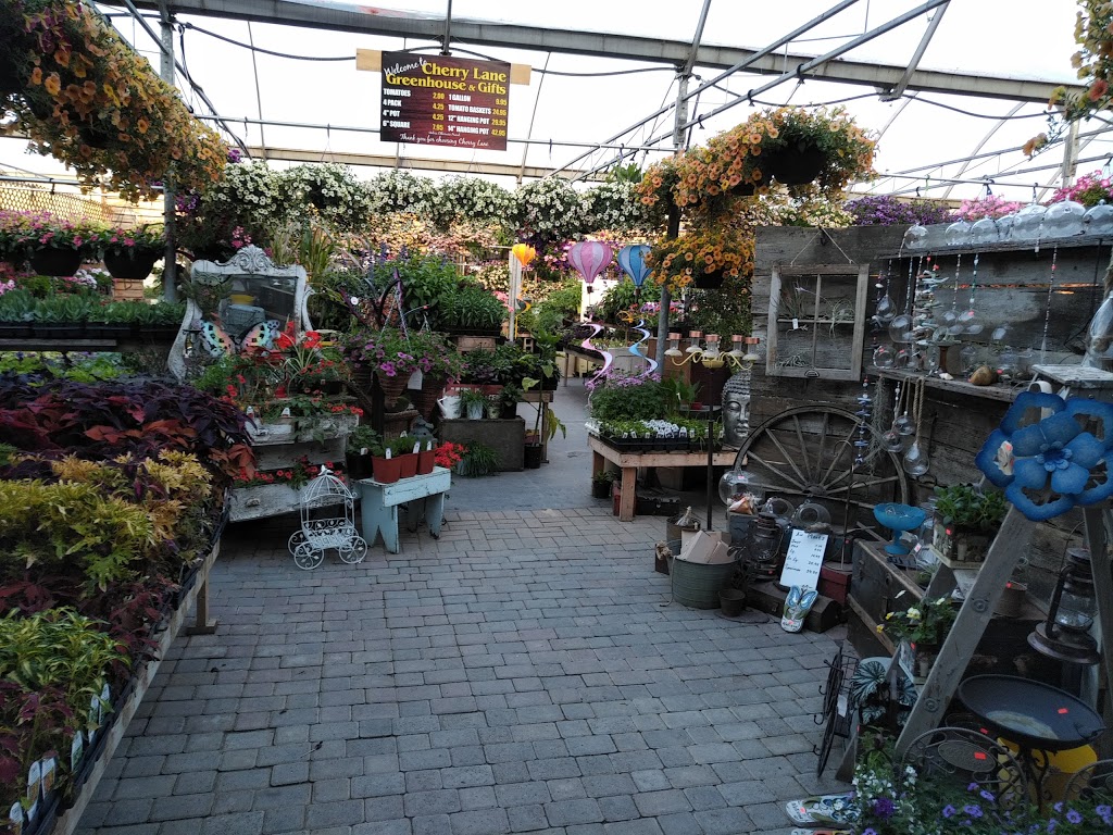 CherryLane Greenhouse and Gifts | Box 19 Site 200 Rr2, Regina, SK S4P 2Z2, Canada | Phone: (306) 535-9365