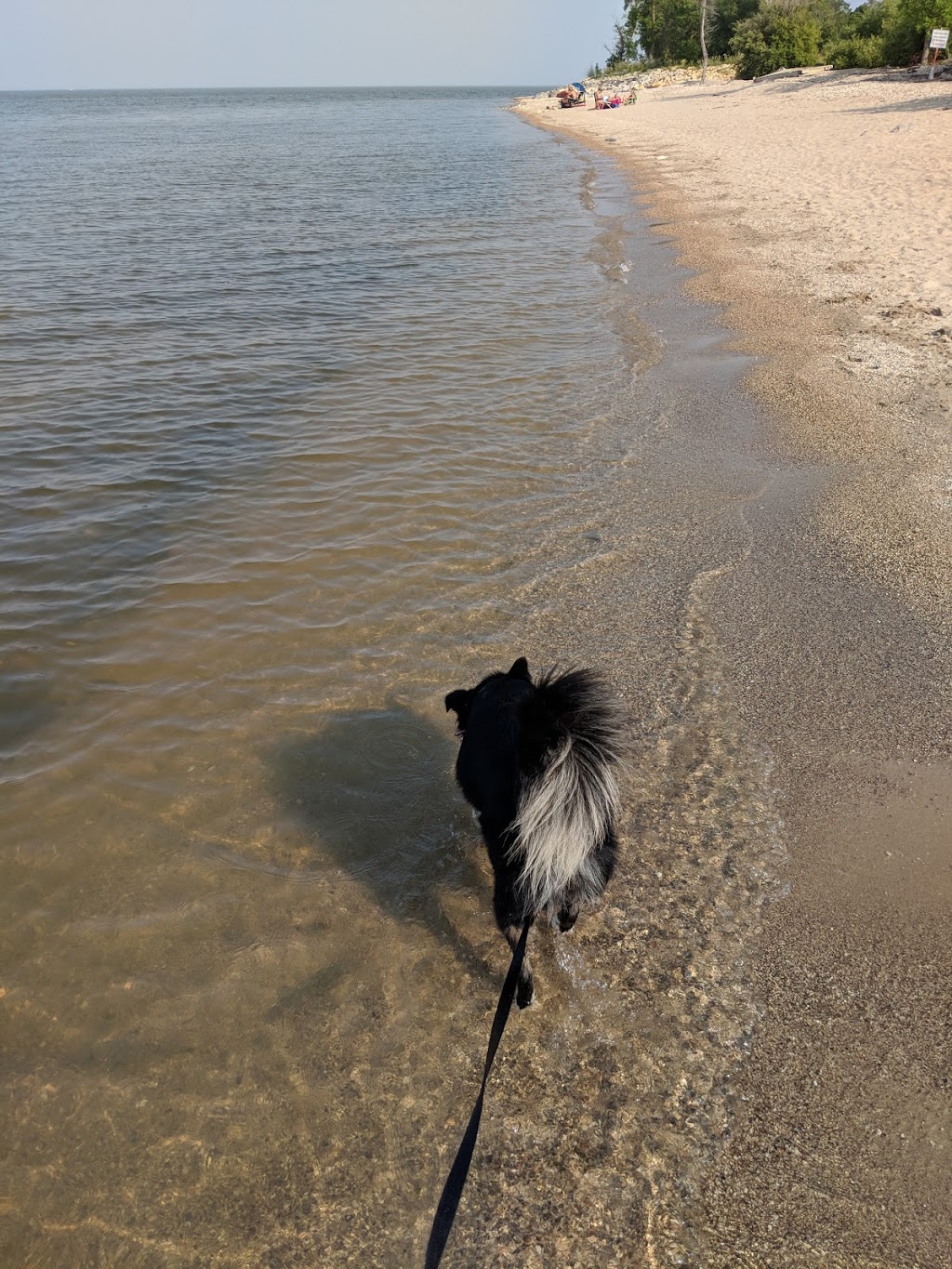 Winnipeg Beach Dog Beach | Winnipeg Beach, MB, Canada