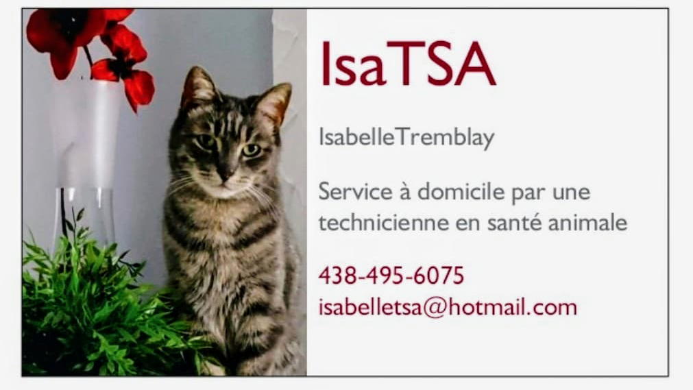 Isatsa | 130 Rue Lafortune, Repentigny, QC J5Z 5A9, Canada | Phone: (438) 495-6075