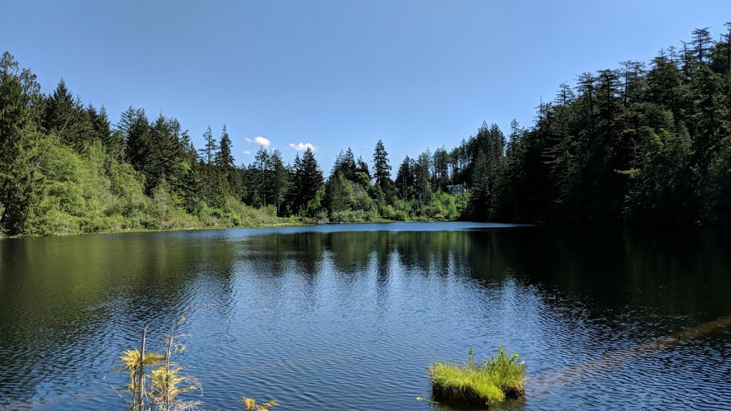 Lakeside Hideaway Waterfront Cabins | 3210 Otter Point Rd, Sooke, BC V9Z 0K8, Canada | Phone: (250) 642-2527