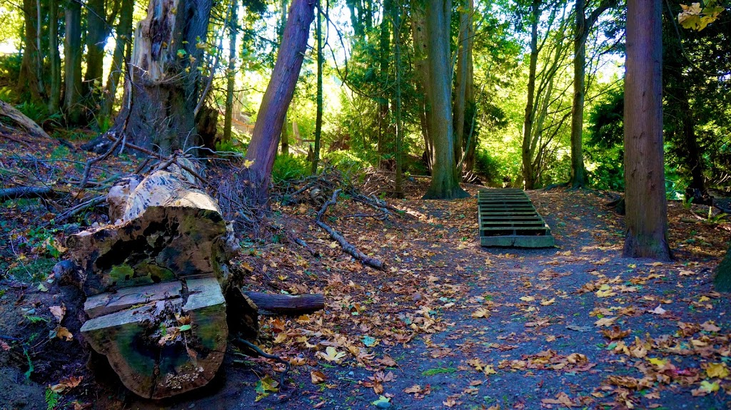 Icarus Park | Dover Community Association, Nanaimo, BC V9V 1B8, Canada | Phone: (250) 756-5200