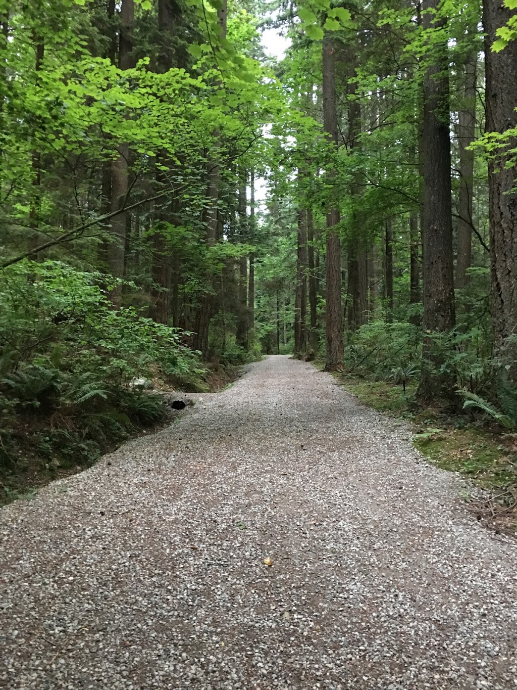 Riverview Forest | Coquitlam, BC V3C 5W7, Canada | Phone: (604) 927-3000