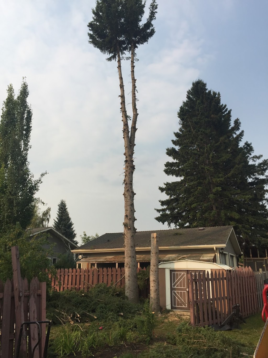 Ragged Ass Road Tree Services Red Deer | 7412 42 Ave, Red Deer, AB T4P 4C2, Canada | Phone: (403) 341-2389