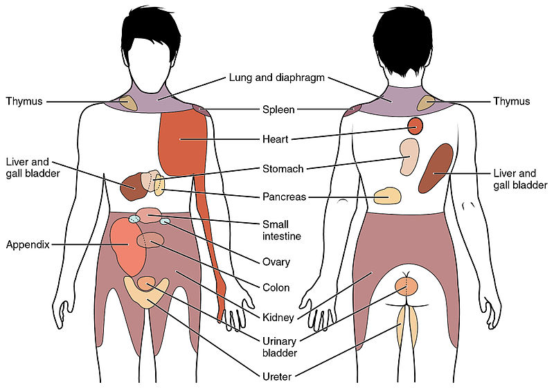 HijamahWorks Osteopathic & Wet Cupping Specialists | 4299 Village Centre Court - Lower Level (Room #306, Mississauga, ON L4V 1Y5, Canada | Phone: (844) 445-2624