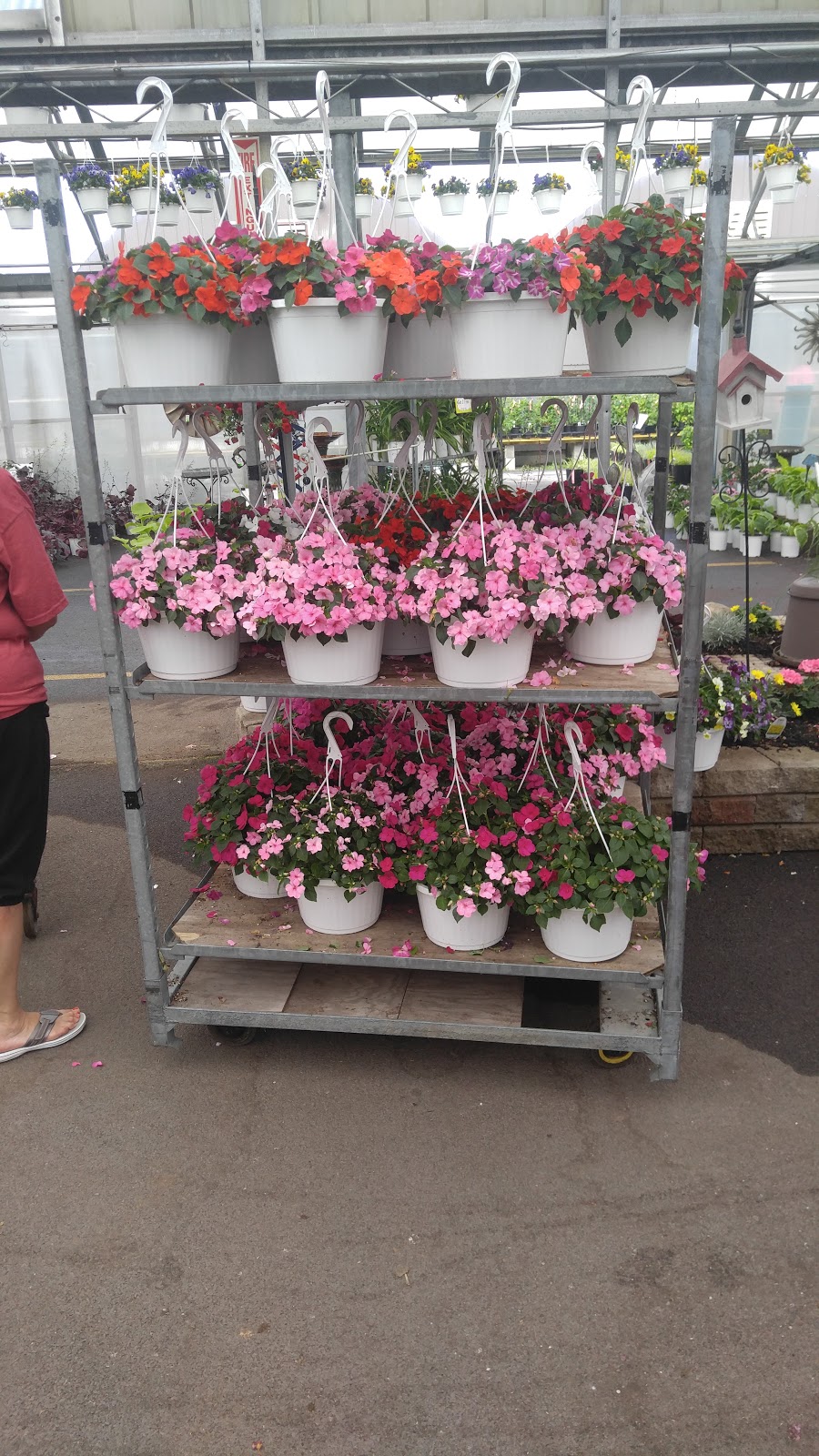 Hi-Way Garden Center | 1941 Tonawanda Creek Rd, Amherst, NY 14228, USA | Phone: (716) 695-2741