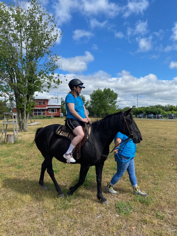 Heal with Horses | 997 Danforth Rd, Hillier, ON K0K 2J0, Canada | Phone: (613) 399-5952