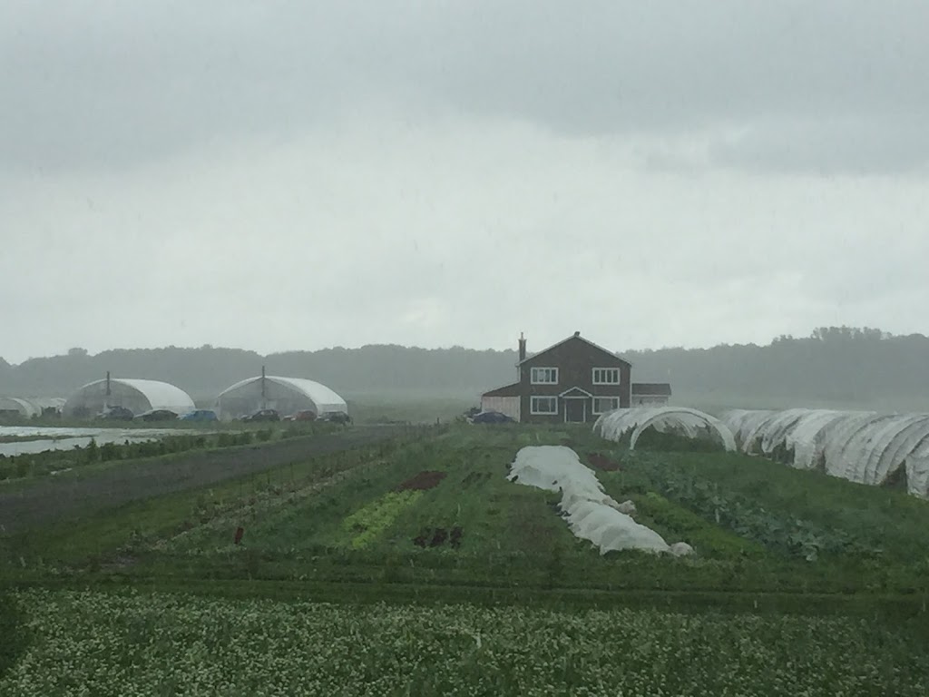 Ferme La Bourrasque | 312 Rang Brodeur, Saint-Nazaire-dActon, QC J0H 1V0, Canada | Phone: (514) 349-0516