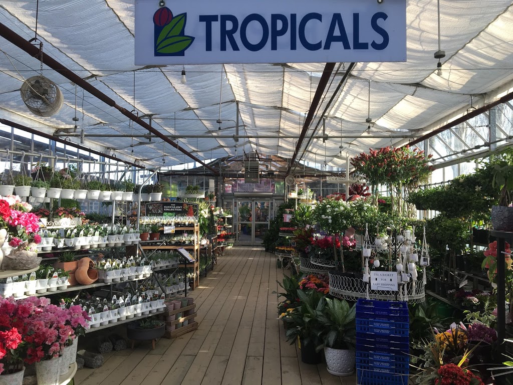 Dutch Growers Home & Garden | 3320 Pasqua St, Regina, SK S4S 7G8, Canada | Phone: (306) 721-4769