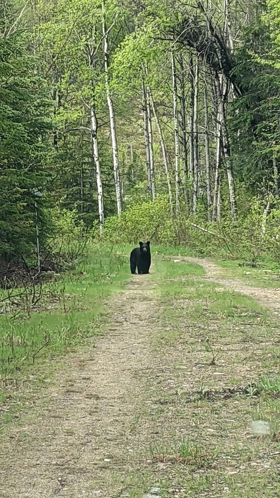 Ashuapmushuan | Le Domaine-du-Roy, QC G0W 1P0, Canada | Phone: (800) 665-6527