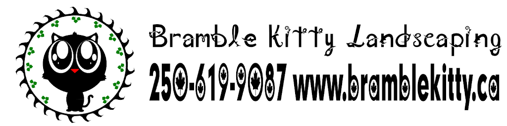 Bramble Kitty | 225 Sabiston St, Nanaimo, BC V9R 1M2, Canada | Phone: (250) 619-9087