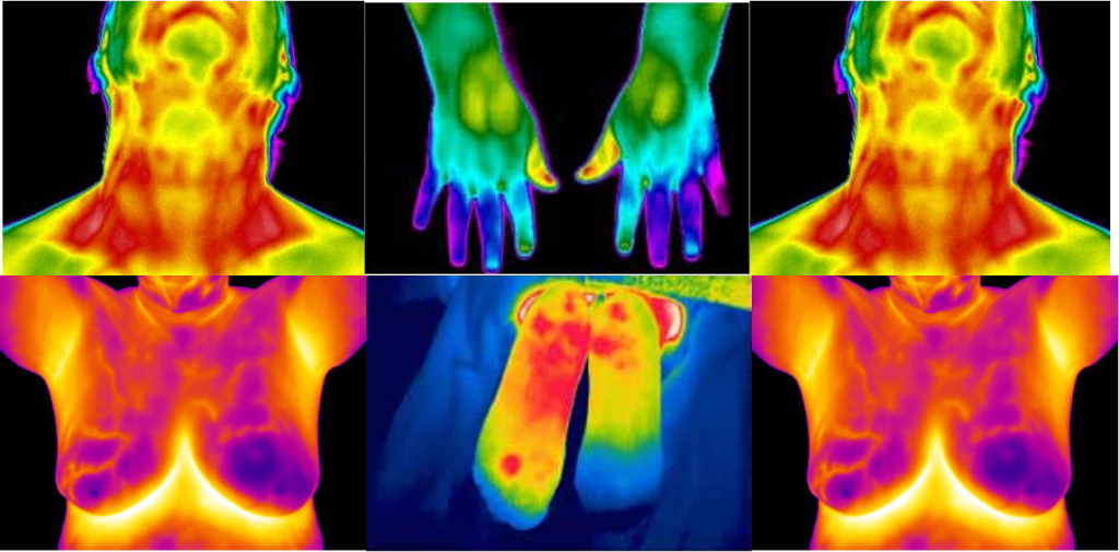 Trillium Thermography | 3944 Hamilton Rd, Dorchester, ON N0L 1G2, Canada | Phone: (519) 269-3226