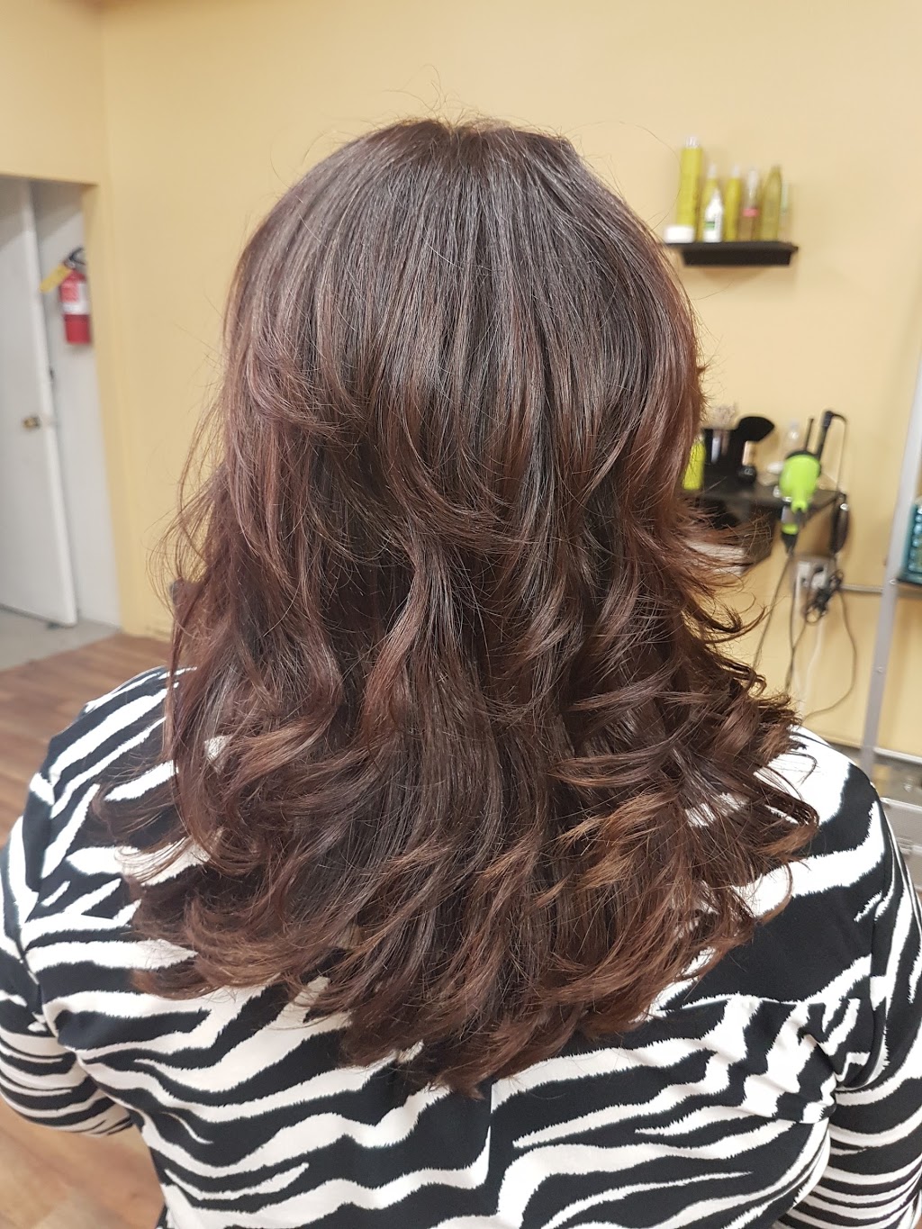 The Hair Lounge | 3100 Dundas St W, Toronto, ON M6P 1Z8, Canada | Phone: (647) 340-9424