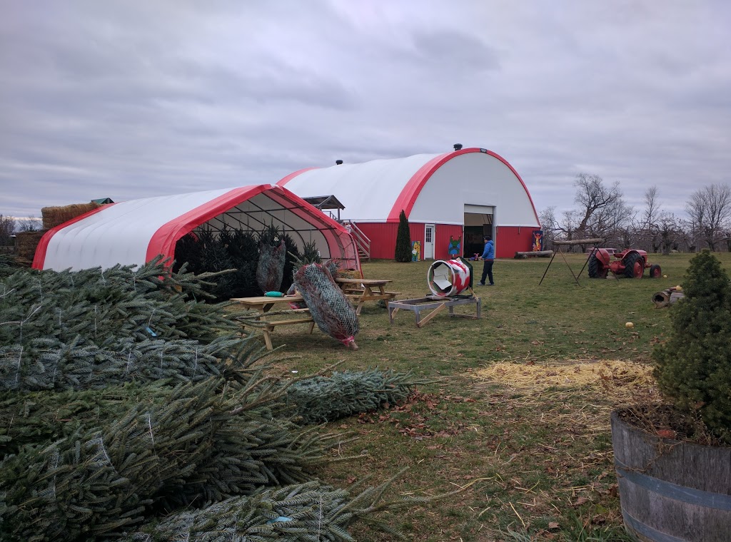 Albion Orchards & Country Market | 14800 Innis Lake Rd, Caledon East, ON L7C 2Y8, Canada | Phone: (905) 584-0354