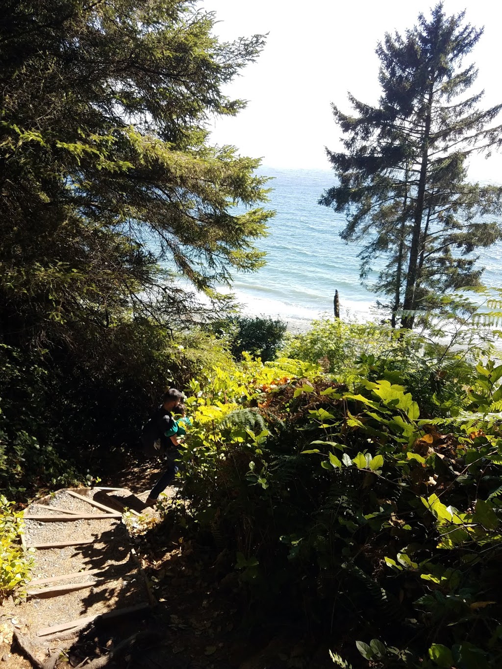 Sandcut Beach | 11033 W Coast Rd, Shirley, BC V9Z 1G9, Canada | Phone: (250) 360-3000