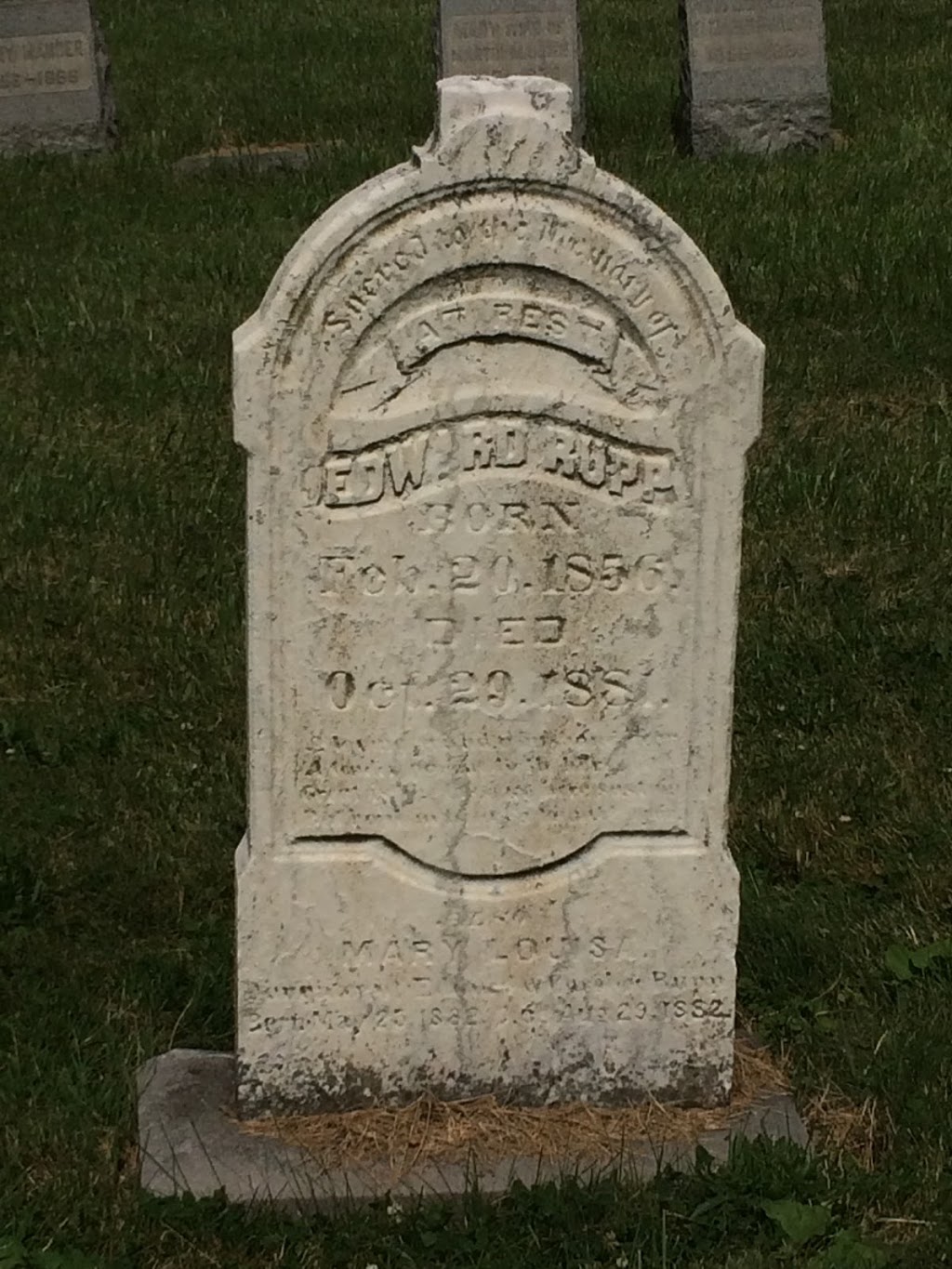 St. Francis Xavier Cemetery | Buffalo, NY 14207, USA