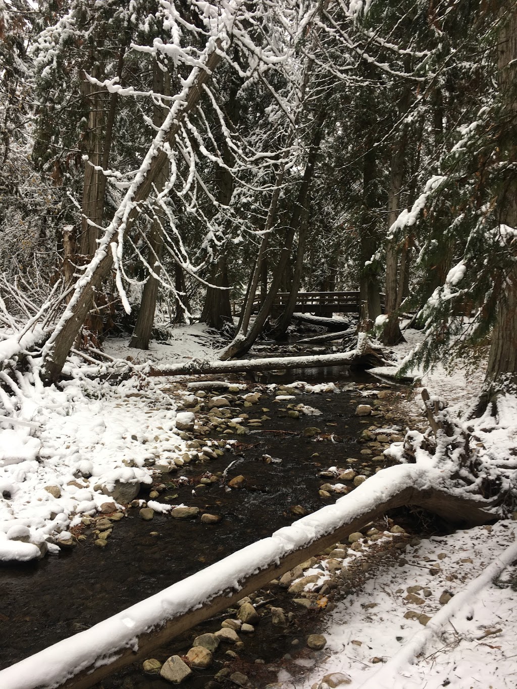 BX Ranch Park | B X Rd, Vernon, BC V1B 3K2, Canada