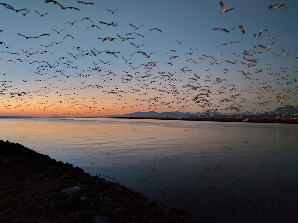 Swishwash Island | Richmond, BC, Canada