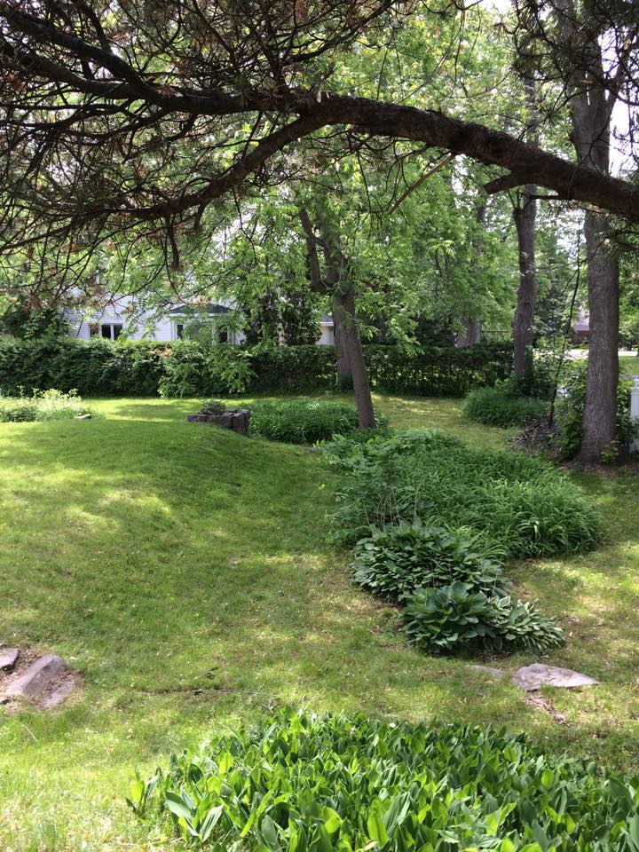 Presidential Properties | Sod & Landscaping in Ottawa | 221 Magpie St, Ottawa, ON K1T 0N4, Canada | Phone: (888) 232-1215