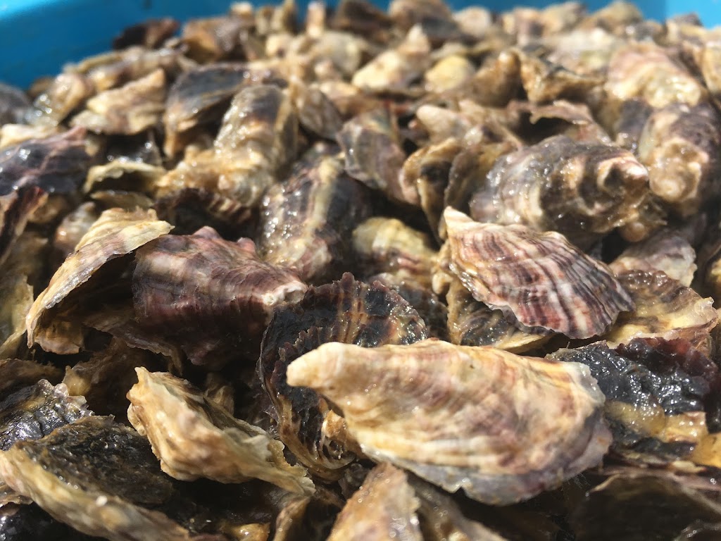 Evening Cove Oysters Processing Ltd | 1844 Thatcher Rd, Nanaimo, BC V9X 1T3, Canada | Phone: (250) 753-2272