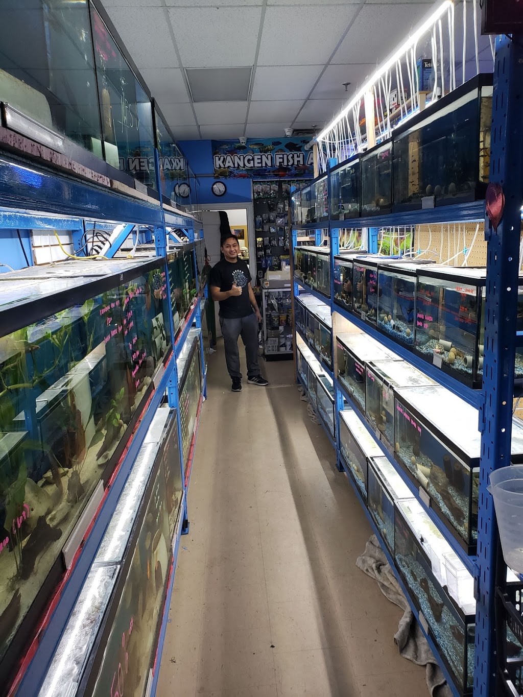 Kangen Fish Aquatics | 35 King St E Unit 15, Mississauga, ON L5A 4E1, Canada | Phone: (905) 270-9999