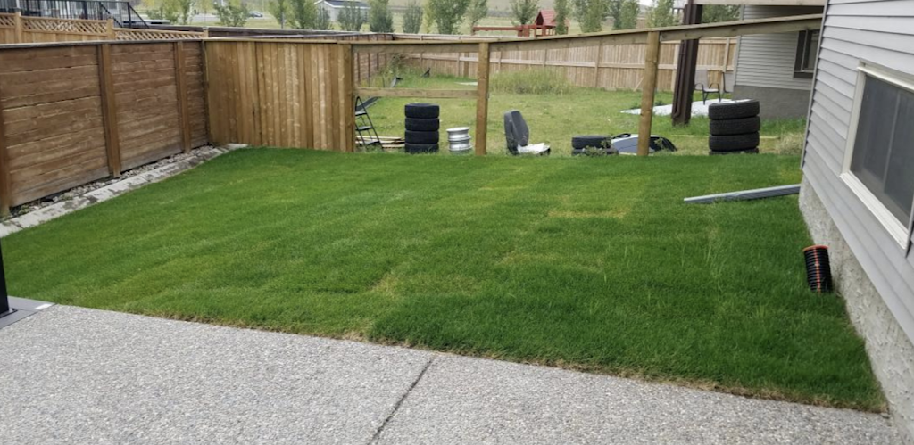 Somerset Lawn and Snow | 250 Somerside Park SW, Calgary, AB T2Y 3G5, Canada | Phone: (403) 333-3210