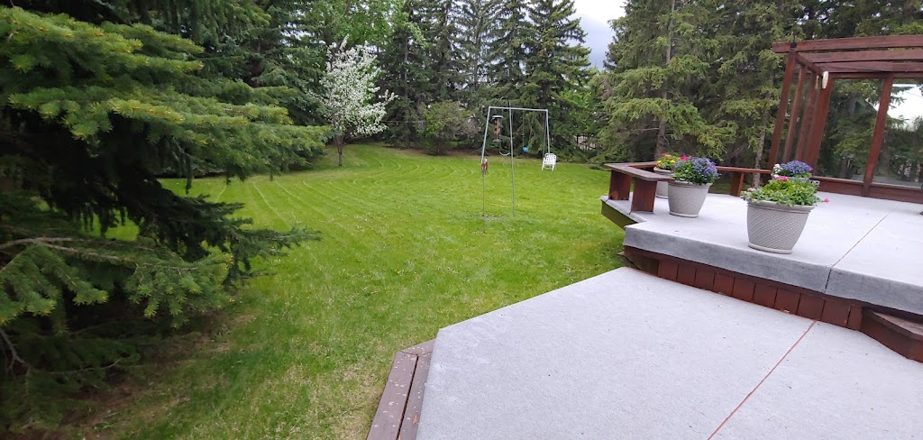 Calgary Level Up Lawn & Snow | 16 Amiens Crescent SW, Calgary, AB T2T 6E8, Canada | Phone: (587) 224-9523